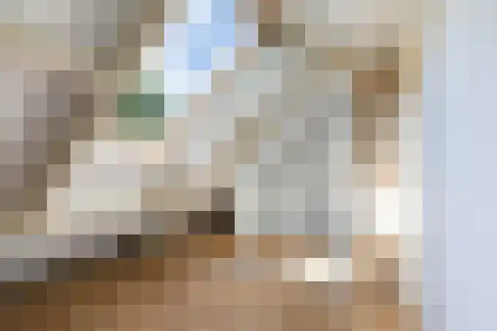 Hoornklaver 1 Rotterdam thumbnail 41