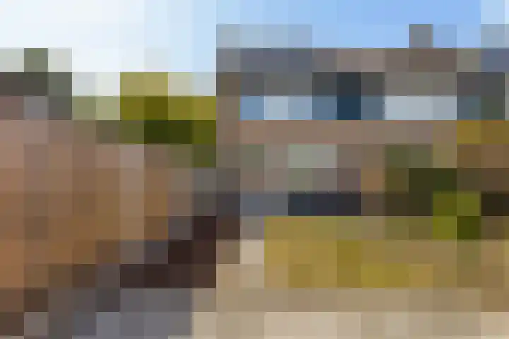 Hoornklaver 1 Rotterdam thumbnail 46