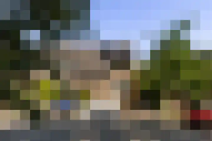 Hoornklaver 1 Rotterdam thumbnail 58