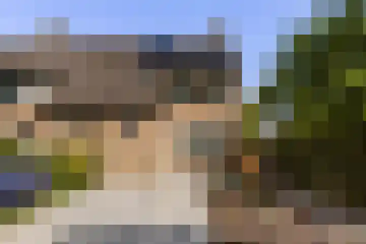 Hoornklaver 1 Rotterdam thumbnail 6