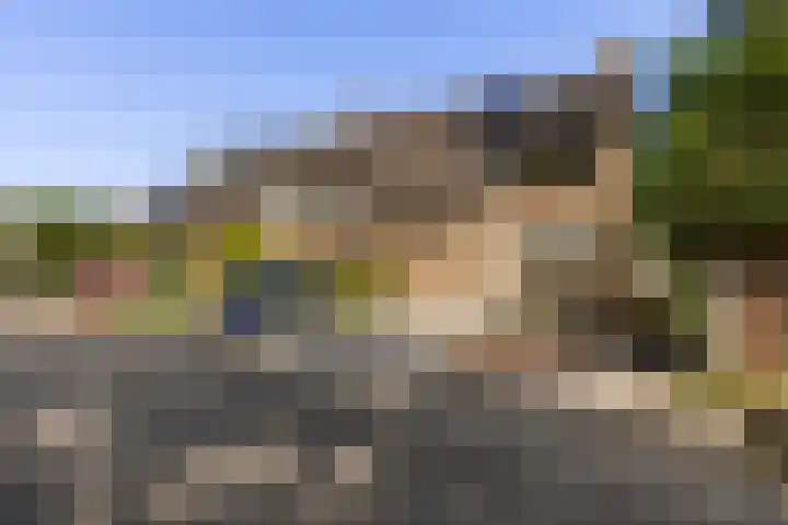 Hoornklaver 1 Rotterdam thumbnail 7