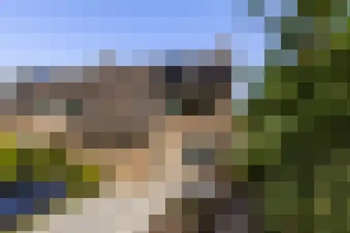 Hoornklaver 1 Rotterdam thumbnail 8