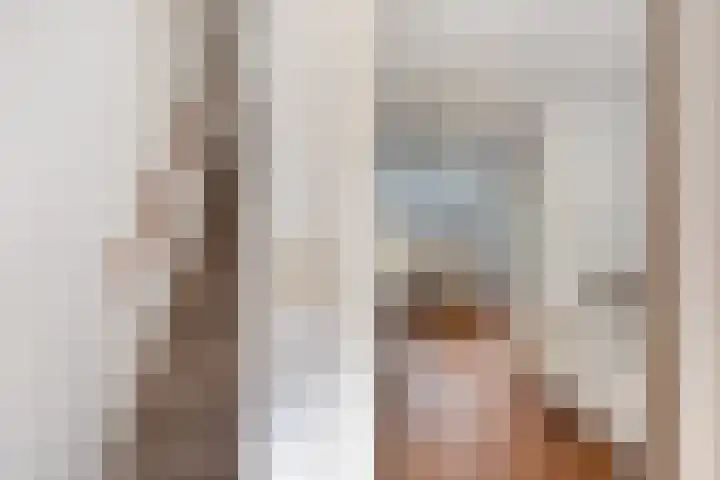 Hoornklaver 1 Rotterdam thumbnail 9