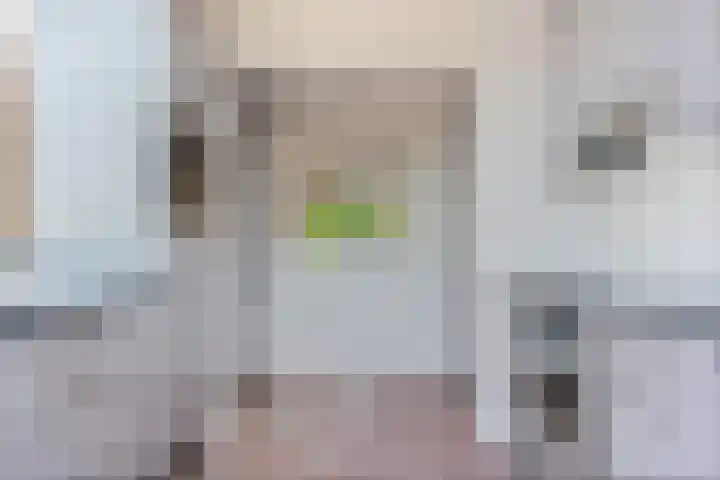 Hoornklaver 11 Rotterdam thumbnail 13