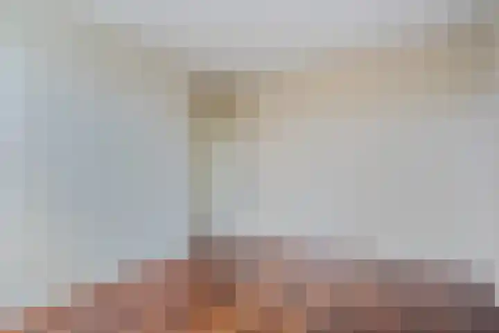 Hoornklaver 11 Rotterdam thumbnail 20