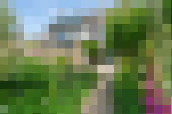 Hoornklaver 11 Rotterdam thumbnail 35