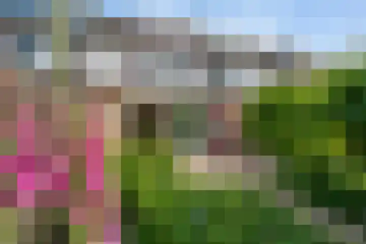 Hoornklaver 11 Rotterdam thumbnail 5