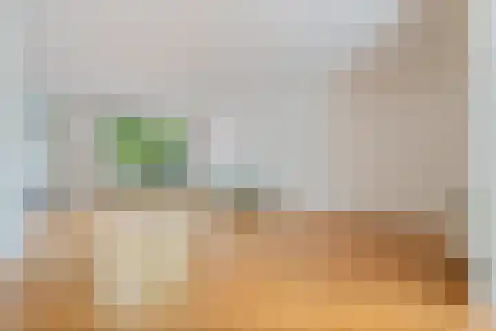 Hoornklaver 11 Rotterdam thumbnail 8