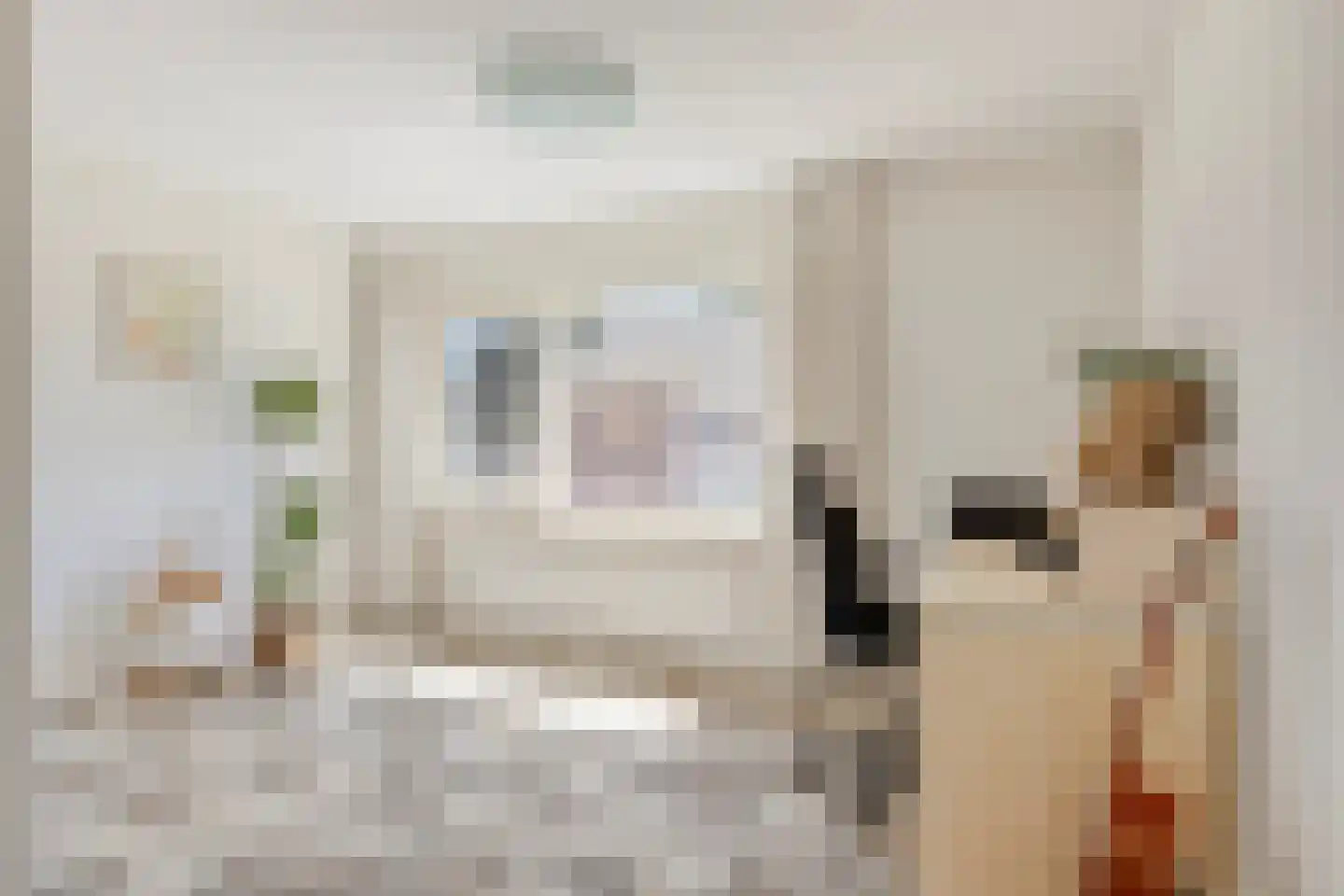 Hoornmanstraat 12 Someren thumbnail 16