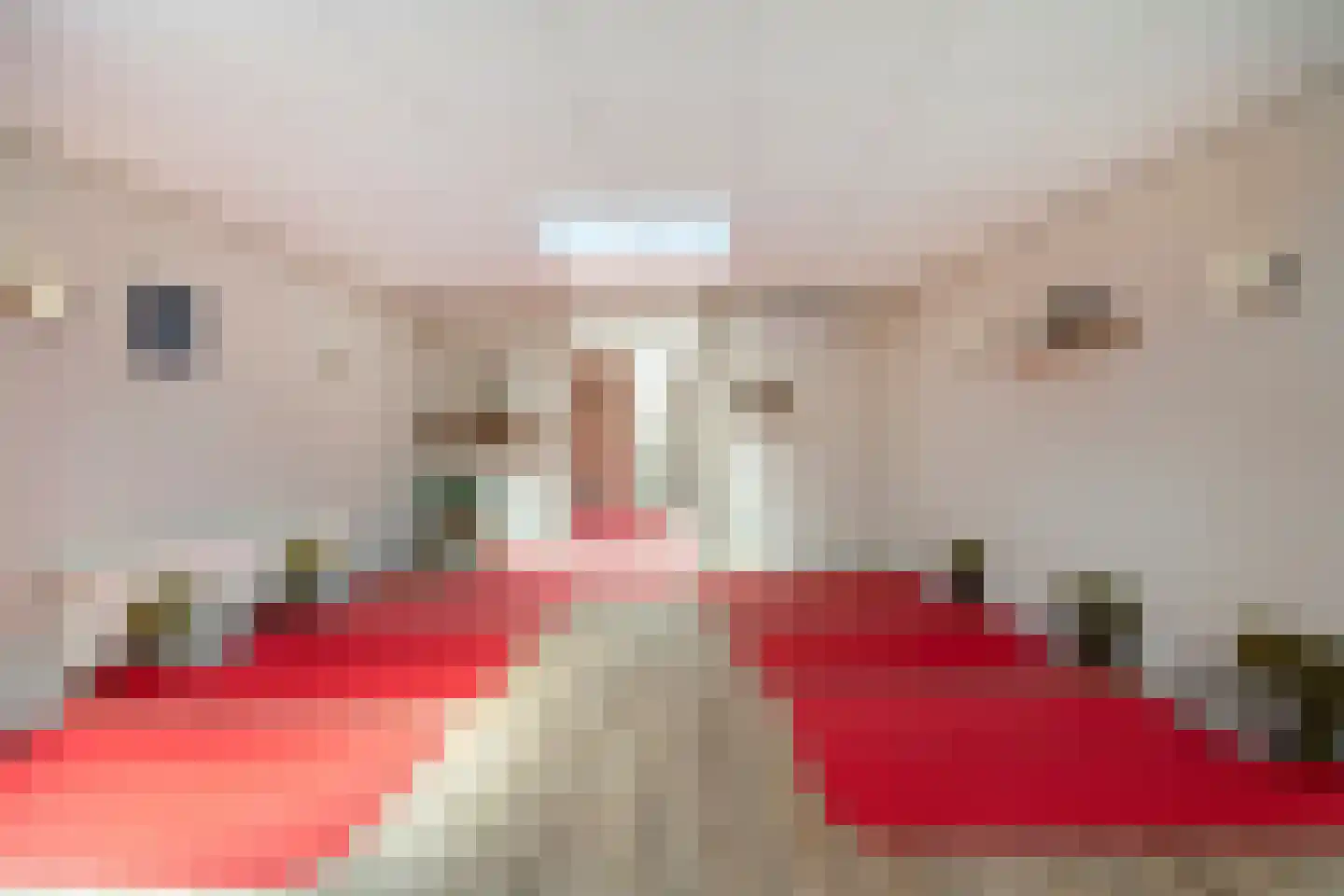 Hoornmanstraat 12 Someren thumbnail 19