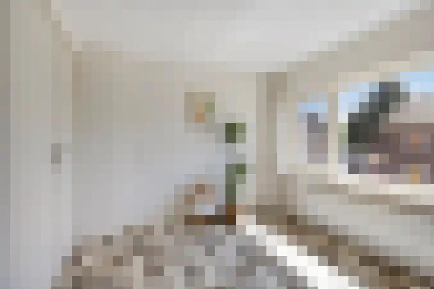 Hoornmanstraat 12 Someren thumbnail 23
