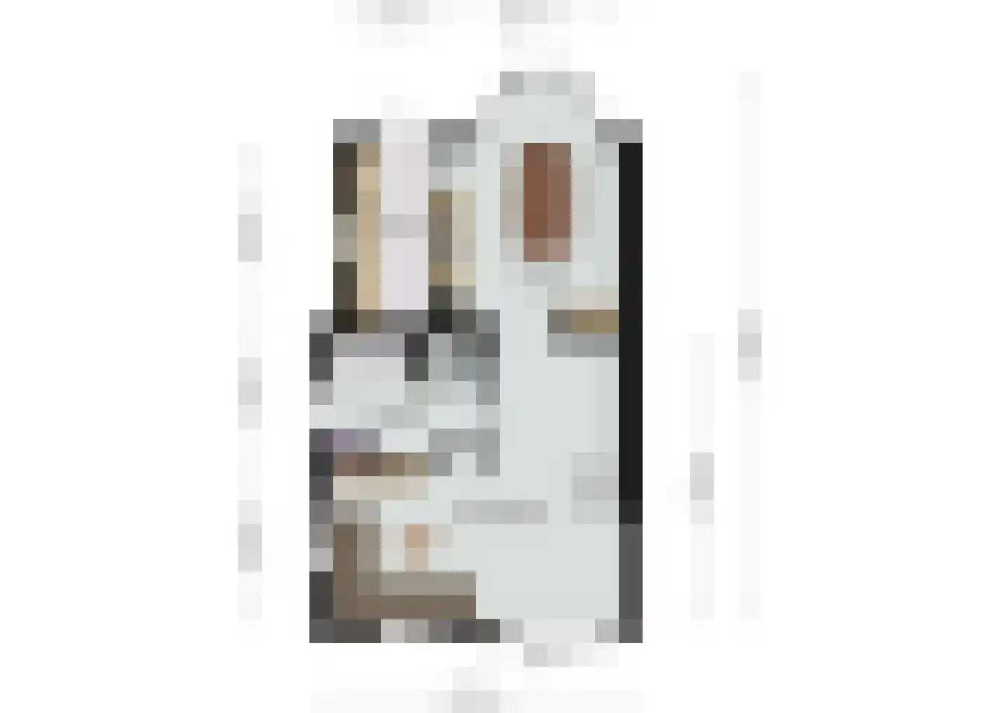Hoornmanstraat 12 Someren thumbnail 24