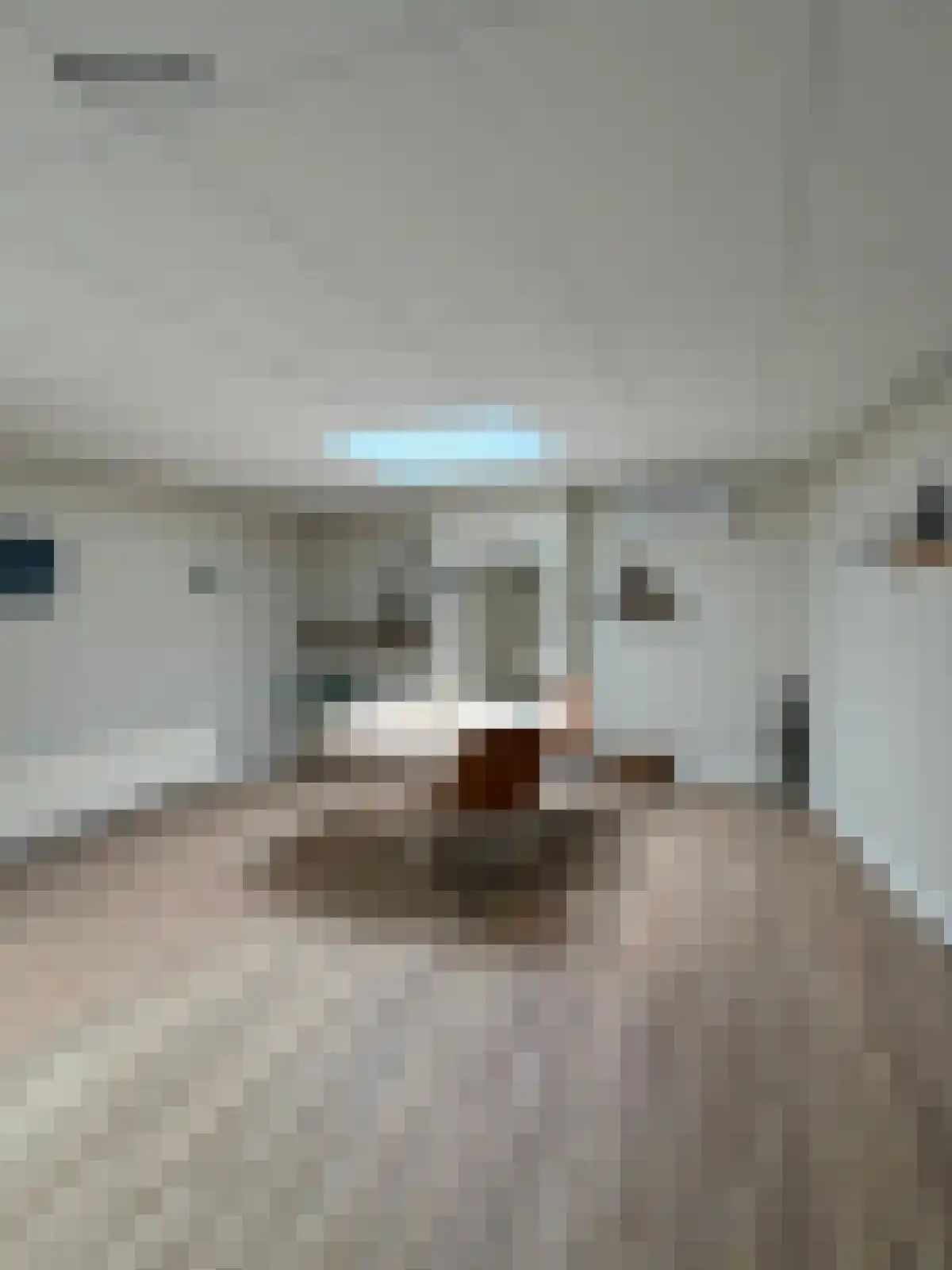Hoornmanstraat 12 Someren thumbnail 31