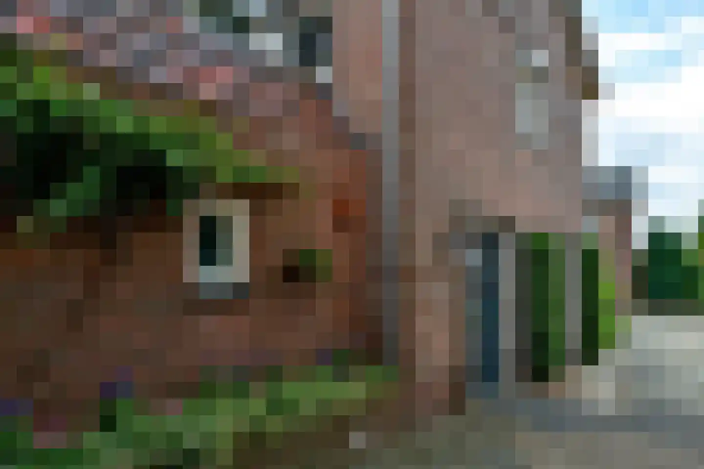 Hoornmanstraat 12 Someren thumbnail 36
