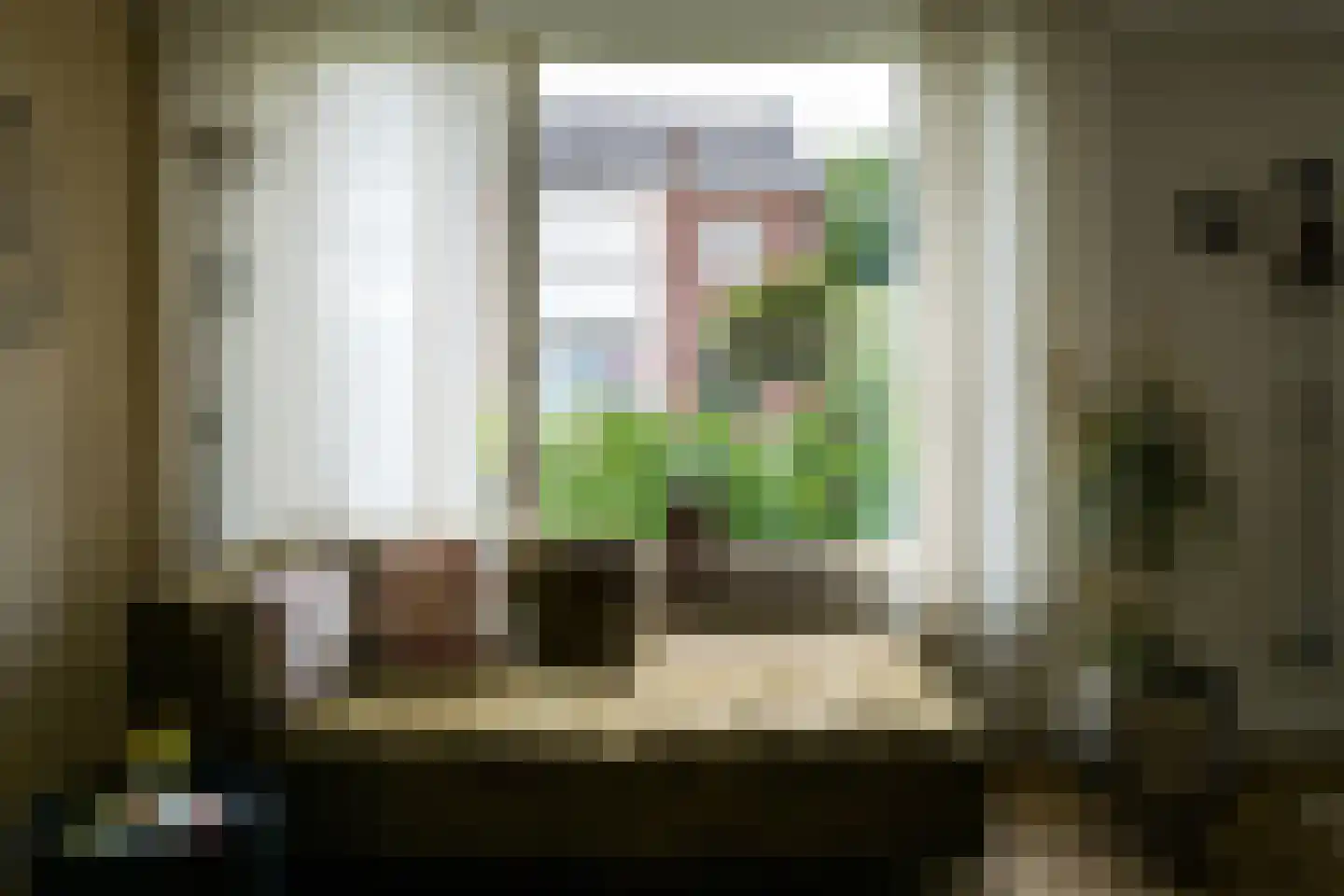 Hoornmanstraat 12 Someren thumbnail 8