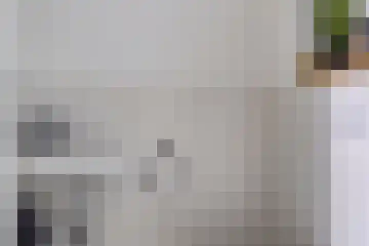 Hoornmeen 20 Harderwijk thumbnail 10
