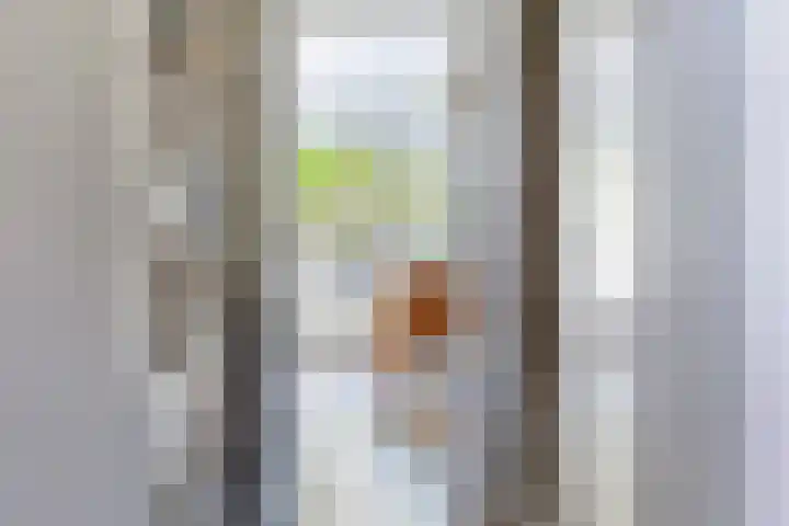 Hoornmeen 20 Harderwijk thumbnail 12