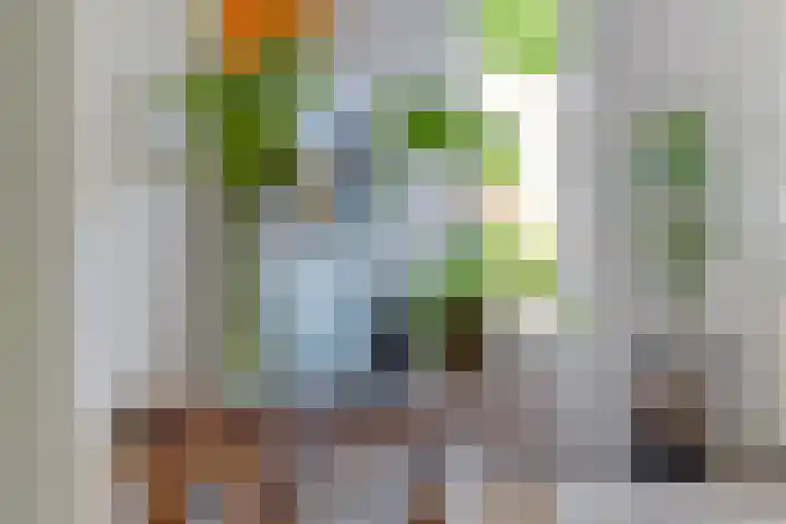 Hoornmeen 20 Harderwijk thumbnail 13