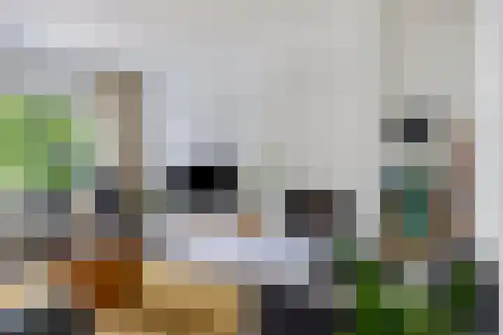 Hoornmeen 20 Harderwijk thumbnail 16