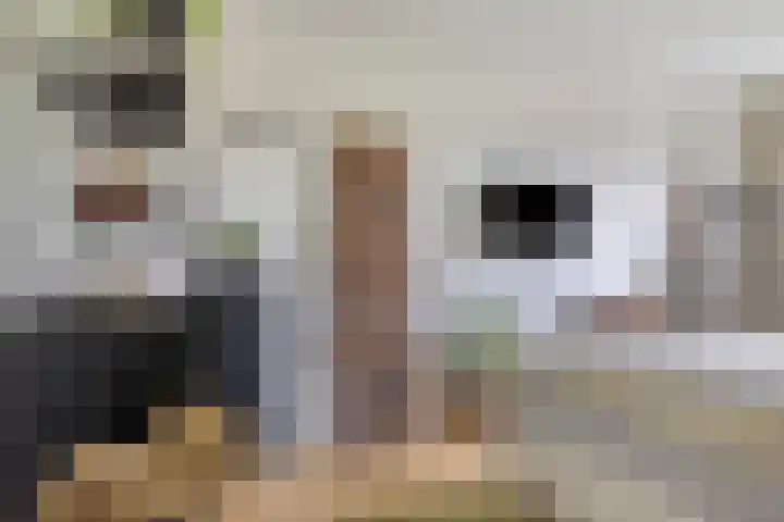Hoornmeen 20 Harderwijk thumbnail 25
