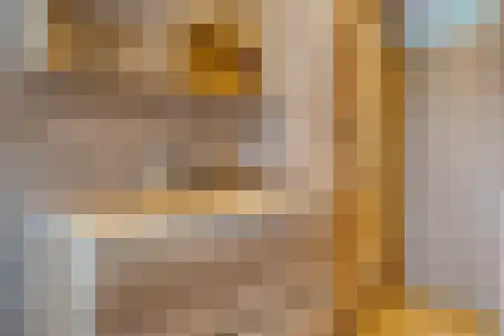 Hoornmeen 20 Harderwijk thumbnail 28