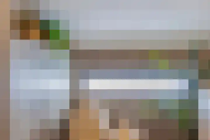 Hoornmeen 20 Harderwijk thumbnail 29