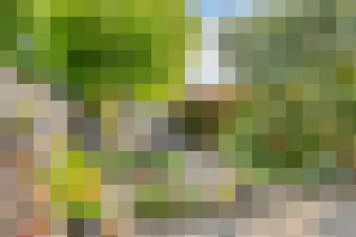 Hoornmeen 20 Harderwijk thumbnail 42