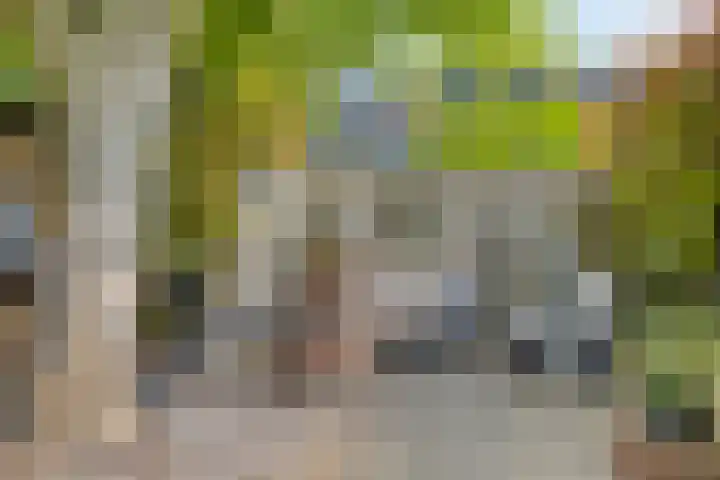 Hoornmeen 20 Harderwijk thumbnail 43