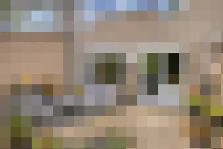 Hoornmeen 20 Harderwijk thumbnail 44