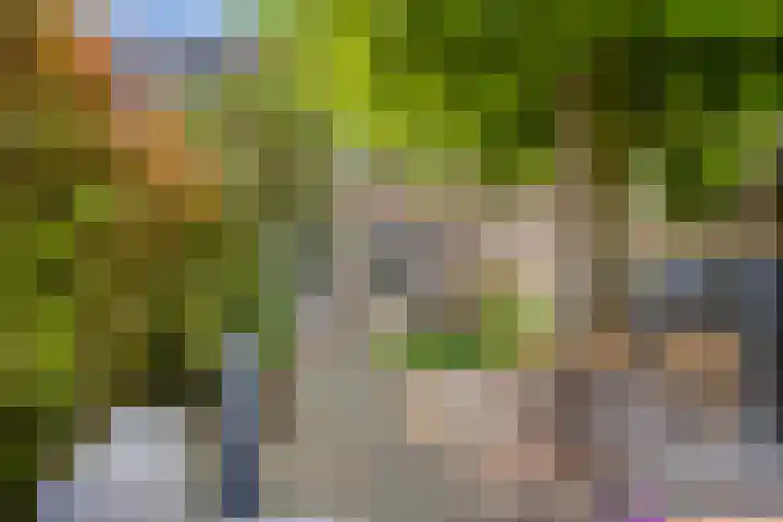 Hoornmeen 20 Harderwijk thumbnail 45