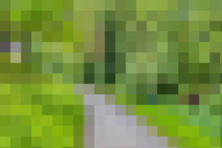 Hoornmeen 20 Harderwijk thumbnail 48