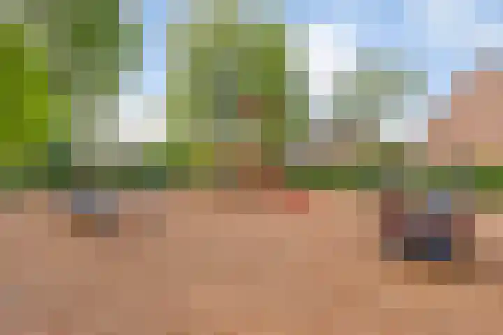 Hoornmeen 20 Harderwijk thumbnail 49