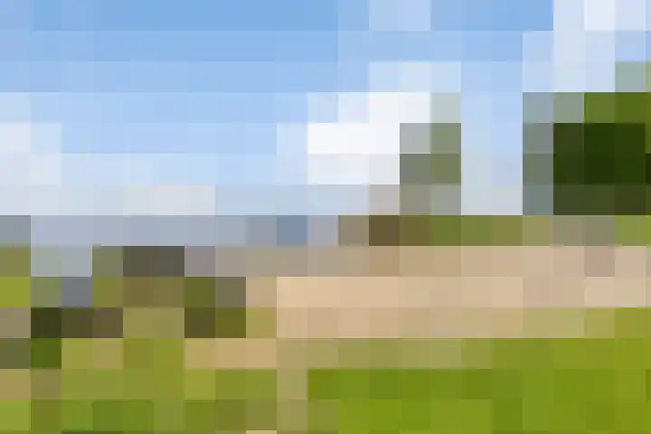 Hoornmeen 20 Harderwijk thumbnail 50