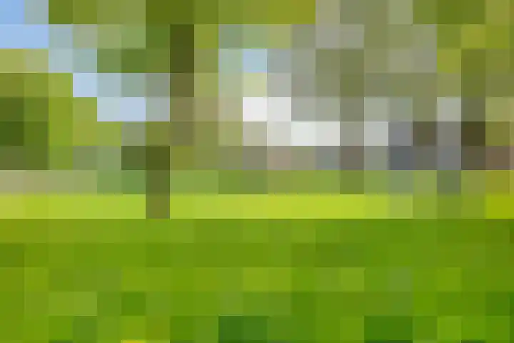 Hoornmeen 20 Harderwijk thumbnail 51