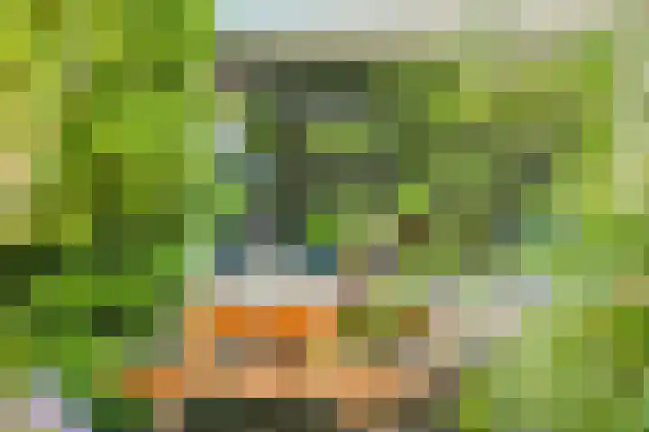 Hoornmeen 20 Harderwijk thumbnail 6