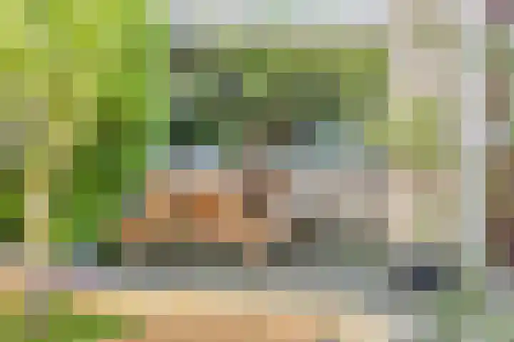 Hoornmeen 20 Harderwijk thumbnail 8