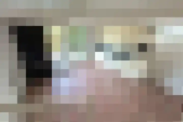Hoornplantsoen 12 Berkel en Rodenrijs thumbnail 11