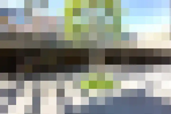 Hoornplantsoen 12 Berkel en Rodenrijs thumbnail 15