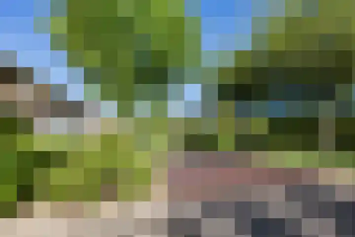 Hoornplantsoen 12 Berkel en Rodenrijs thumbnail 35