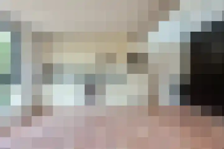 Hoornplantsoen 12 Berkel en Rodenrijs thumbnail 4
