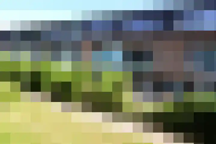 Hoornplantsoen 12 Berkel en Rodenrijs thumbnail 5