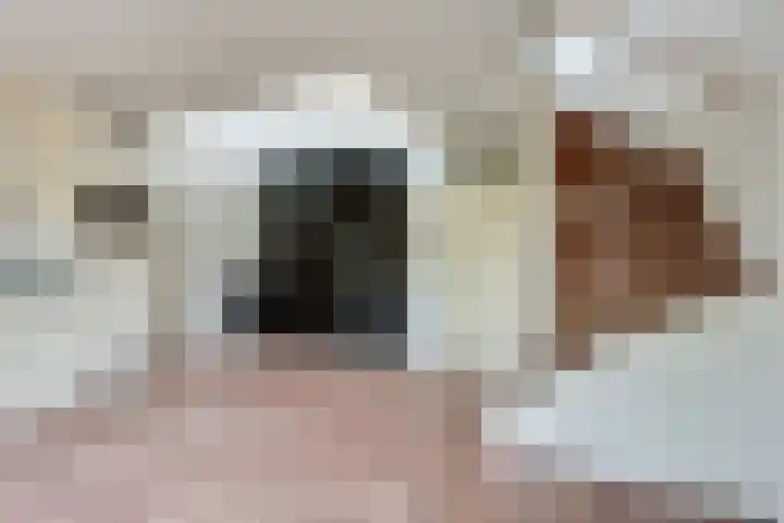 Hoornplantsoen 12 Berkel en Rodenrijs thumbnail 7