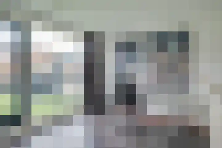Hoornplantsoen 14 Berkel en Rodenrijs thumbnail 16