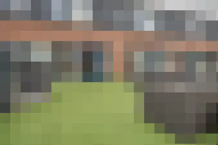 Hoornplantsoen 14 Berkel en Rodenrijs thumbnail 19