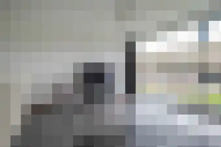 Hoornplantsoen 14 Berkel en Rodenrijs thumbnail 20