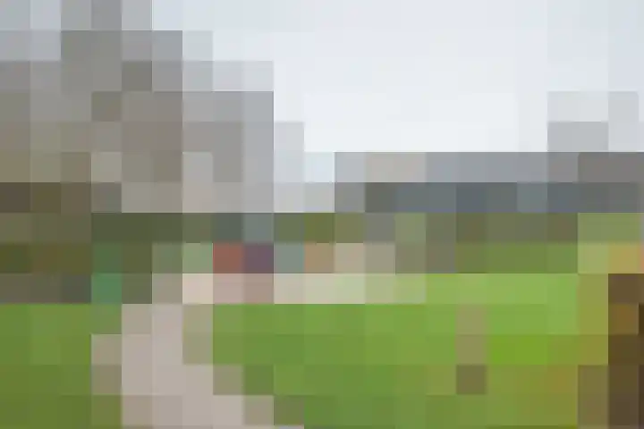 Hoornplantsoen 14 Berkel en Rodenrijs thumbnail 39