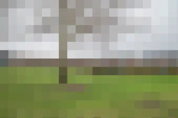 Hoornplantsoen 14 Berkel en Rodenrijs thumbnail 40