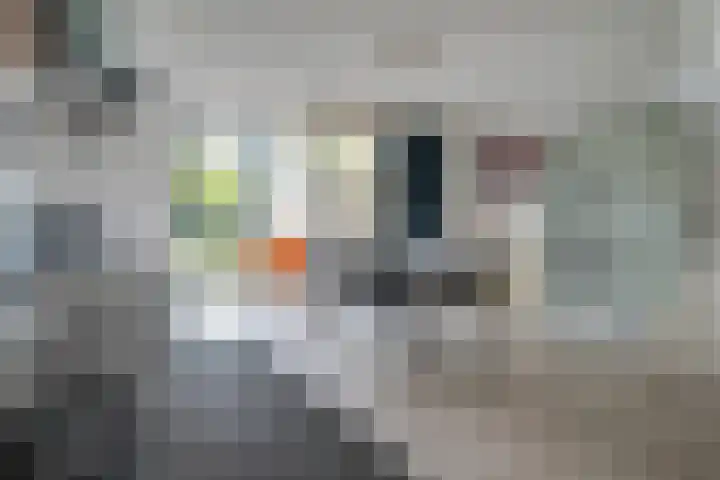 Hoornplantsoen 14 Berkel en Rodenrijs thumbnail 6