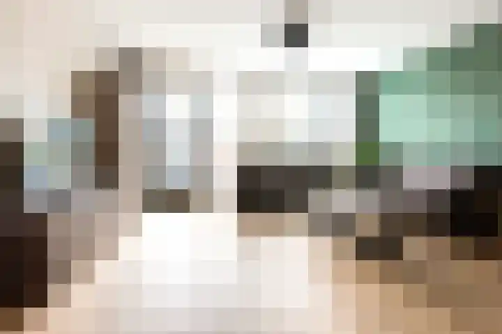 Hoornplantsoen 17 Berkel en Rodenrijs thumbnail 12