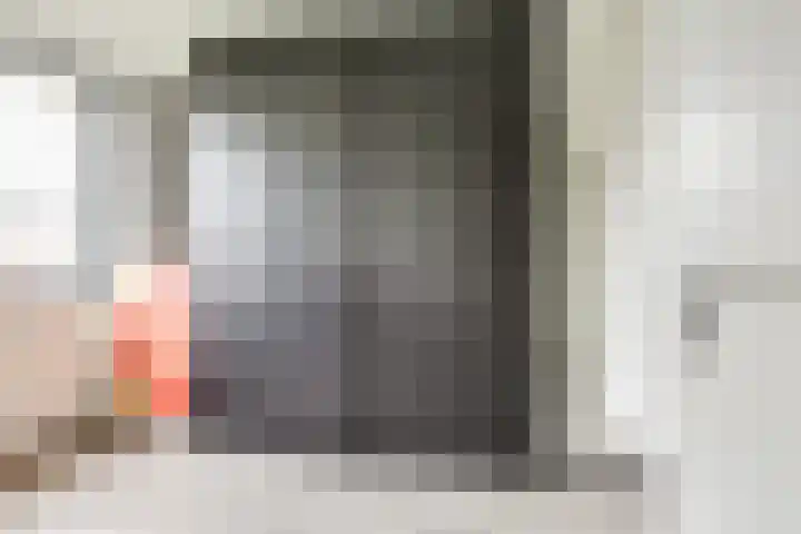 Hoornplantsoen 17 Berkel en Rodenrijs thumbnail 23